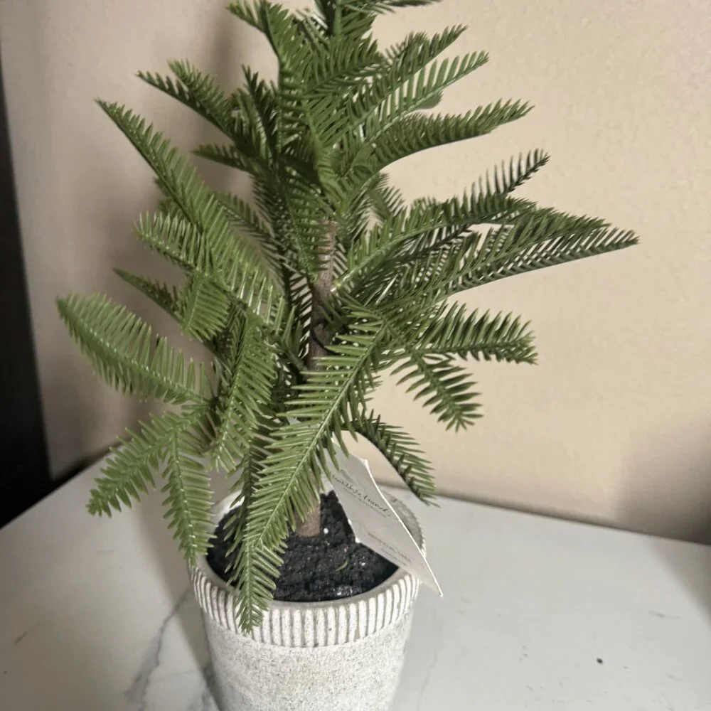Hearth‎ & Hand with Magnolia Faux Balsam Fir Tree in Washed Cement Pot NWT 16